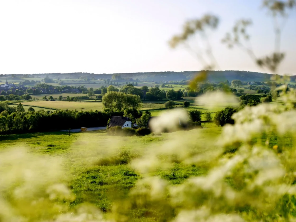 The green landscape of the Euregio Meuse-Rhine.
