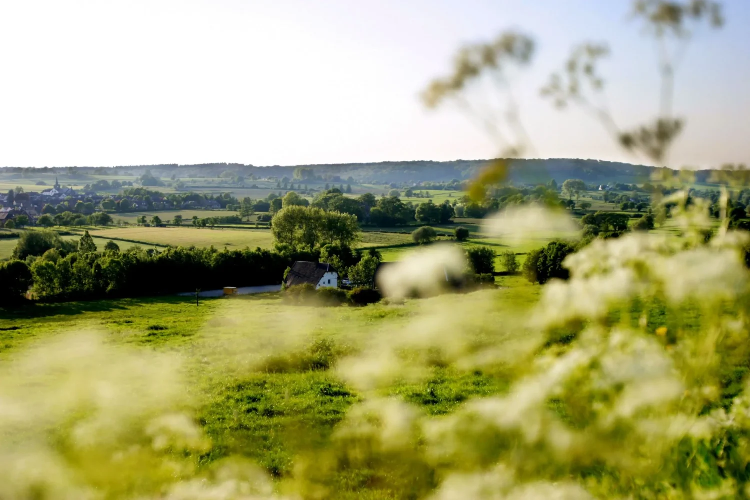 The green landscape of the Euregio Meuse-Rhine.